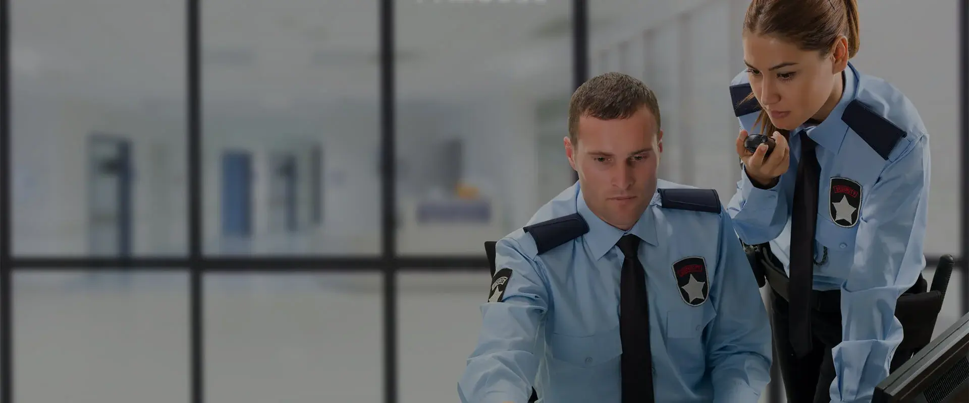 Picker Services by Lionlead Securewatch